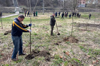 Толока у Луцьку — висаджують нові дерева Толока у Луцьку — висаджують нові дерева