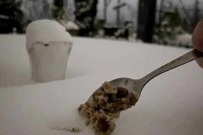 кутя для героїв, СУМ, кутя, сумівці кутя для героїв, СУМ, кутя, сумівці