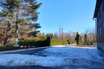 У Ботанічному саду в Житомирі розпочали цвісти первоцвіти У Ботанічному саду в Житомирі розпочали цвісти первоцвіти