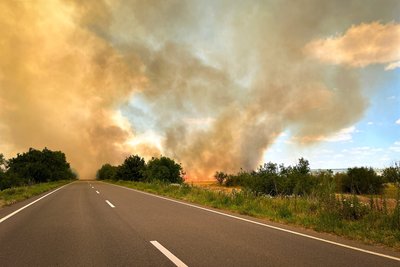 На Одещині палає 10 гектарів сухої трави: частково ускладнено рух на трасі Одеса – Вознесенськ На Одещині палає 10 гектарів сухої трави: частково ускладнено рух на трасі Одеса – Вознесенськ
