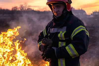 На Вінниччині пожежники сухої трави врятували зайченя На Вінниччині пожежники сухої трави врятували зайченя