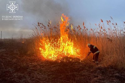 В Одесі горіли поля зрошення