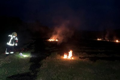 За добу в трьох районах на Волині сталося 4 пожежі сухої трави За добу в трьох районах на Волині сталося 4 пожежі сухої трави