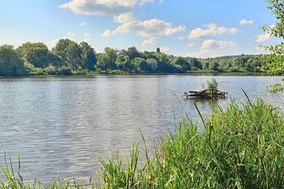 Цвітіння води, фосфати й забудова берегів: що впливає на стан Південного Бугу у Вінниці Цвітіння води, фосфати й забудова берегів: що впливає на стан Південного Бугу у Вінниці