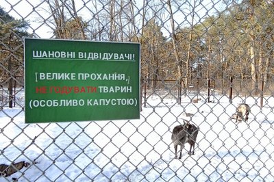 Як зимуватимуть тварини у зоокутку житомирського Гідропарку