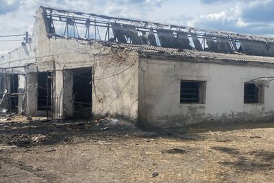 Наслідки удару РФ по фермі у Рокитному Наслідки удару РФ по фермі у Рокитному