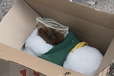 психотропи в іграшках психотропи в іграшках