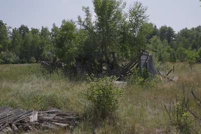 Вимираючі села: як живуть 6 останніх жителів села Брідок на Житомирщині Вимираючі села: як живуть 6 останніх жителів села Брідок на Житомирщині