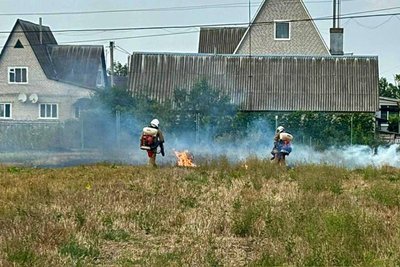 Понад 800 пожеж виникли в екосистемах Житомирщини від початку року: серед причин —самовільне спалення трави Понад 800 пожеж виникли в екосистемах Житомирщини від початку року: серед причин —самовільне спалення трави