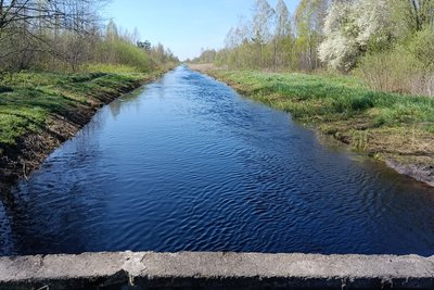 14 тисяч гектарів у воді: у громаді на Волині розкопали дамбу, щоб зупинити підтоплення