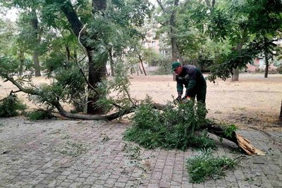 В Одесі негода повалила майже півсотні дерев: комунальники ліквідовують наслідки В Одесі негода повалила майже півсотні дерев: комунальники ліквідовують наслідки