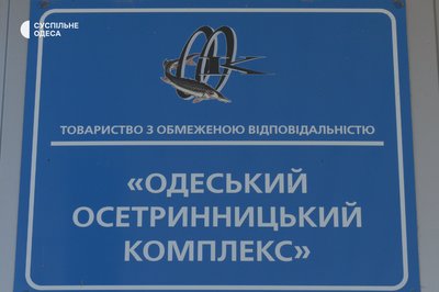 "Війна війною, а риба на столі за розкладом": як працює рибна промисловість Одещини в умовах війни
