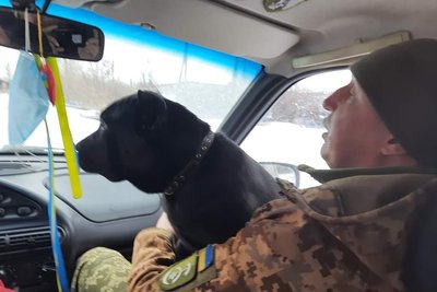 "Ми не знаємо, де тіло, чекаємо на збіг за ДНК" — дружина полеглого капітана ЗСУ із Житомирщини Анатолія Сємєнєнка "Ми не знаємо, де тіло, чекаємо на збіг за ДНК" — дружина полеглого капітана ЗСУ із Житомирщини Анатолія Сємєнєнка