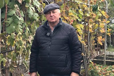 Обрізка, обробка, підживлення, укриття: садівник з Житомира про те, як підготувати виноград до зими Обрізка, обробка, підживлення, укриття: садівник з Житомира про те, як підготувати виноград до зими