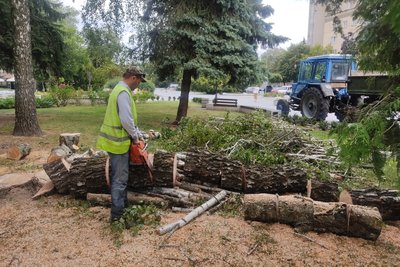 У центрі Житомира зрізали стару березу — на території поблизу у міжнародний день молоді розташують гамак-парк У центрі Житомира зрізали стару березу — на території поблизу у міжнародний день молоді розташують гамак-парк