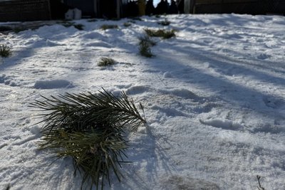 У Самотоївці попрощались із загиблим воїном Сергієм Поповським У Самотоївці попрощались із загиблим воїном Сергієм Поповським