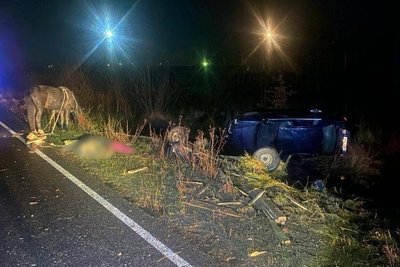 В Ужгородському районі зіткнулися підвода та авто: загинула 1 людина, 6 — травмовані В Ужгородському районі зіткнулися підвода та авто: загинула 1 людина, 6 — травмовані