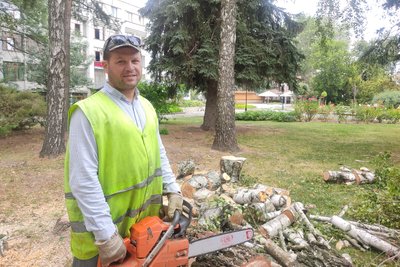 У центрі Житомира зрізали стару березу — на території поблизу у міжнародний день молоді розташують гамак-парк У центрі Житомира зрізали стару березу — на території поблизу у міжнародний день молоді розташують гамак-парк