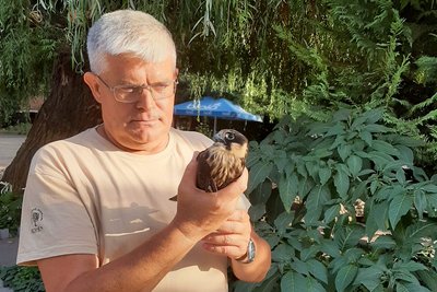 В Одеському зоопарку виходжують травмованого підсоколика В Одеському зоопарку виходжують травмованого підсоколика