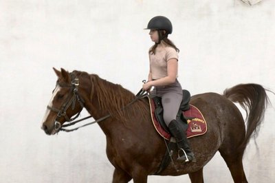 На Хмельниччині діє безкоштовний кінний клуб На Хмельниччині діє безкоштовний кінний клуб