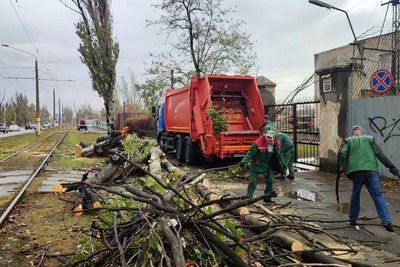 Повалені дерева в Одесі