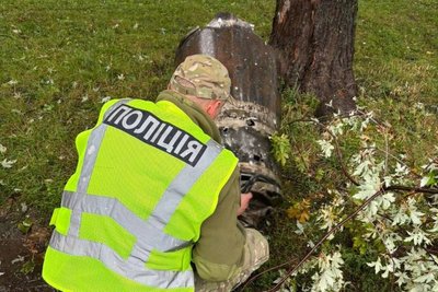 У Дарницькому районі Києва знешкодили бойову частину балістичної ракети