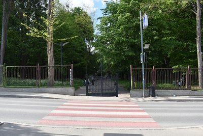 У Чернівцях від початку року облаштували понад сотню з'їздів-пандусів У Чернівцях від початку року облаштували понад сотню з'їздів-пандусів