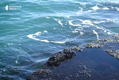 "Море в стані хронічної хвороби": як війна змінила Чорне море та що можуть зробити українці, щоб воно відновилося "Море в стані хронічної хвороби": як війна змінила Чорне море та що можуть зробити українці, щоб воно відновилося