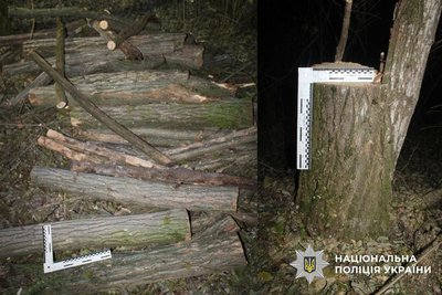 Незаконна вирубка 75 дерев на понад 400 тисяч гривень: посадовець з Одещини отримав підозру Незаконна вирубка 75 дерев на понад 400 тисяч гривень: посадовець з Одещини отримав підозру
