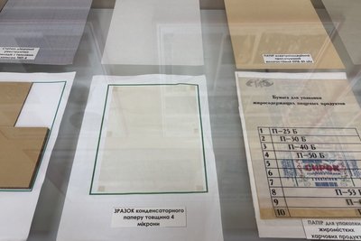 Промисловість на Житомирщині: як осока з Полісся стала сировиною для малинського паперу Промисловість на Житомирщині: як осока з Полісся стала сировиною для малинського паперу