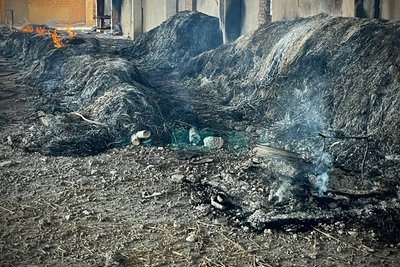 Ізмаїльський район атаковано дронами РФ: під ударом була інфраструктура Вилкового