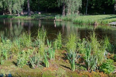 У Києві У Києві