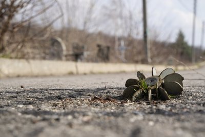 Життя Харкова та області у фото: 27 березня — 2 квітня Життя Харкова та області у фото: 27 березня — 2 квітня