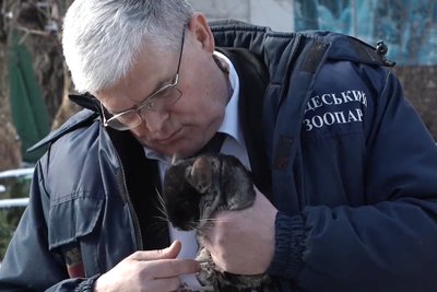"Закохуюсь у шиншилу": директор Одеського зоопарку випустив кліп до Дня закоханих "Закохуюсь у шиншилу": директор Одеського зоопарку випустив кліп до Дня закоханих