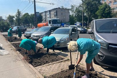 “Квітни. Допомагай. Перемагай!”: у Вінниці в рамках акції висадили майже три тисячі троянд “Квітни. Допомагай. Перемагай!”: у Вінниці в рамках акції висадили майже три тисячі троянд