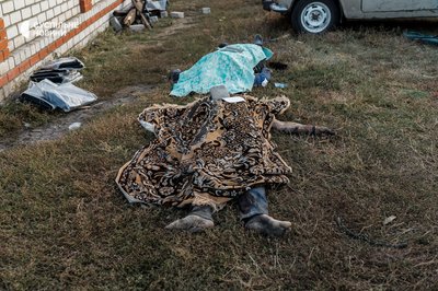 Тіло місцевого у селі Гроза Куп'янського району