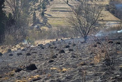 На Закарпатті ліквідували два загоряння сухої трави площею 2,25 га На Закарпатті ліквідували два загоряння сухої трави площею 2,25 га