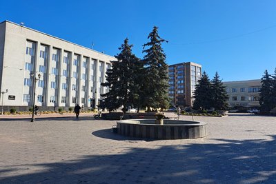 Лелека гуляв у центрі міста: Бердичівський міський голова допоміг спіймати птаха Лелека гуляв у центрі міста: Бердичівський міський голова допоміг спіймати птаха