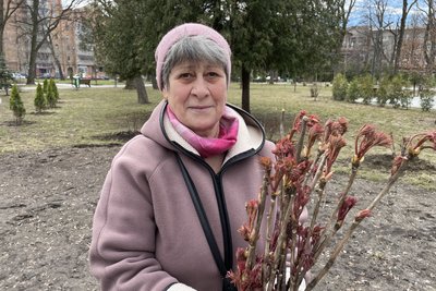 У Харкові висаджують півонії, які подарувала місту жителька Бабаїв У Харкові висаджують півонії, які подарувала місту жителька Бабаїв