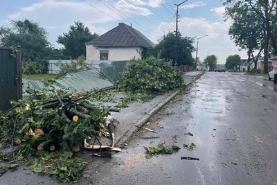 Повалені дерева, паркани, дахи: Малинщина постраждала від негоди Повалені дерева, паркани, дахи: Малинщина постраждала від негоди