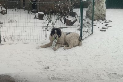 "Гріли воду під одягом": переселенка з Маріуполя розповіла що пережила під час окупації "Гріли воду під одягом": переселенка з Маріуполя розповіла що пережила під час окупації
