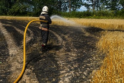 Внаслідок російського обстрілу на Житомирщині знищені 2 гектари пшениці Внаслідок російського обстрілу на Житомирщині знищені 2 гектари пшениці