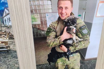 "Це наші друзі, це наші побратими". У Дніпрі відкрилася виставка світлин “Чотирилапі друзі хоробрих” "Це наші друзі, це наші побратими". У Дніпрі відкрилася виставка світлин “Чотирилапі друзі хоробрих”