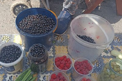 Сезон ягід та фруктів: які ціни на Житньому ринку в Житомирі Сезон ягід та фруктів: які ціни на Житньому ринку в Житомирі