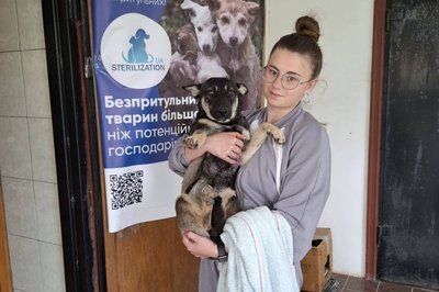 "Не хочу, щоб діти бачили покинутих тварин": як жінка на Одещині організувала безкоштовну стерилізацію тварин "Не хочу, щоб діти бачили покинутих тварин": як жінка на Одещині організувала безкоштовну стерилізацію тварин