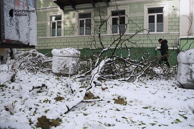 дерево впало в Одесі дерево впало в Одесі