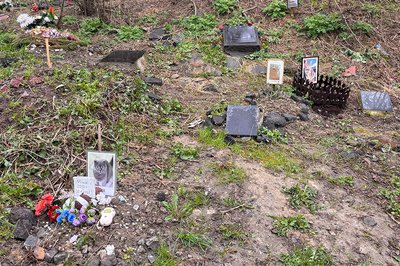 Стихійне кладовище тварин біля річки у Житомирі: чи є альтернатива