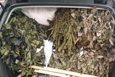 "На фронті немає чужих дітей": на Вінниччині "Ластівки" плетуть маскувальні сітки для бійців "На фронті немає чужих дітей": на Вінниччині "Ластівки" плетуть маскувальні сітки для бійців
