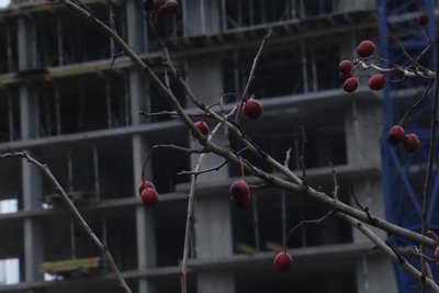 Будівництво багатоповерхівки у Житомирі: на одну землю — два забудовники Будівництво багатоповерхівки у Житомирі: на одну землю — два забудовники
