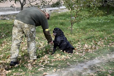 Пошукові собаки прикордонників з Одещини отримали бронежилети